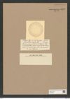 Coscinodiscus comptus Castr. (de-Toni-Nr.: Genus 202, Species 5107) Zeichnungen Sammlung Grunow Nr. 8870 (NHMW-BOT-W0378508)